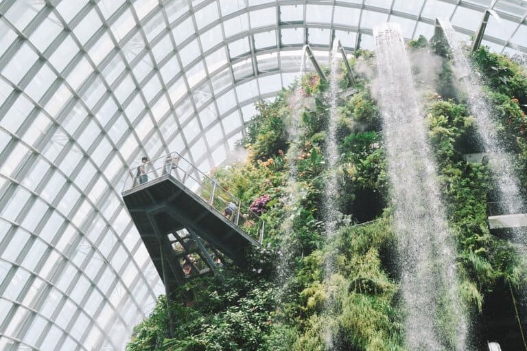 A vegetative structure in the museum